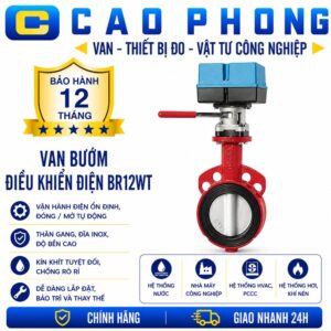 Van bướm điều khiển điện BR12WT - Cao Phong