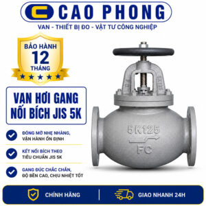 Van hơi gang nối bích JIS 5K - Cao Phong