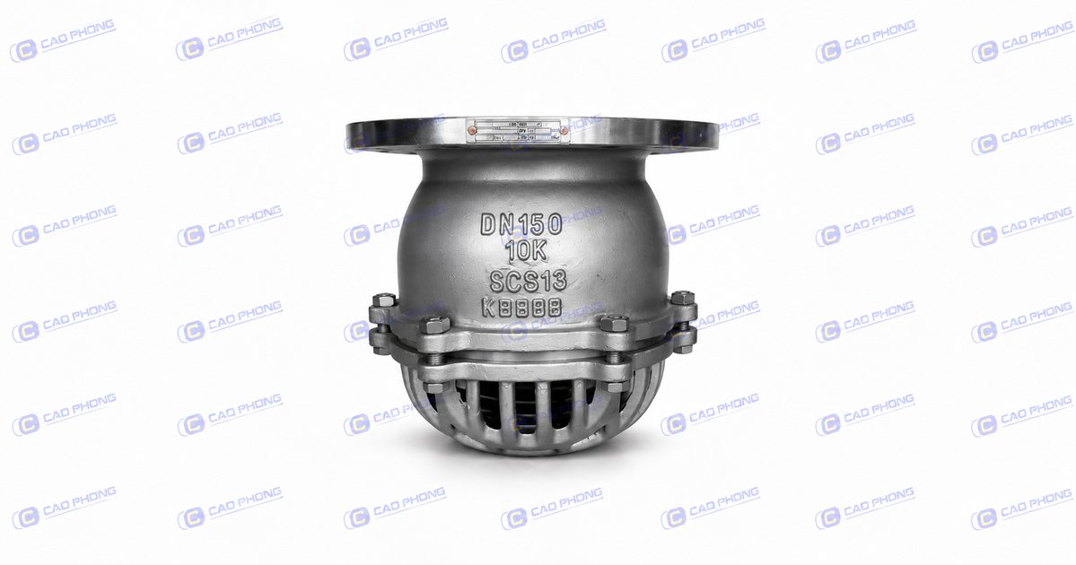 Rọ bơm inox 304 Era nối bích JIS10K - Cao Phong