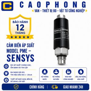 Cảm biến áp suất model PME Sensys - Cao Phong