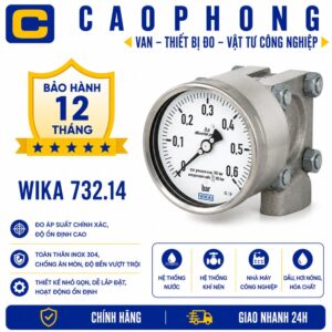 Đồng hồ đo áp suất WIKA 732.14 - Cao Phong