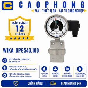 Đồng hồ đo áp suất WIKA DPGS43-100 - Cao Phong