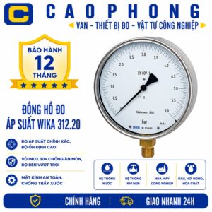 Đồng hồ đo áp suất WIKA 312.20 - Cao Phong